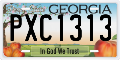 GA license plate PXC1313
