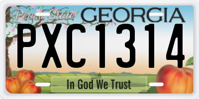 GA license plate PXC1314