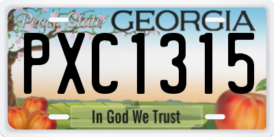 GA license plate PXC1315