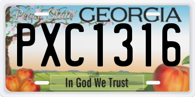GA license plate PXC1316