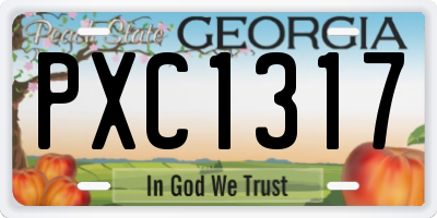GA license plate PXC1317
