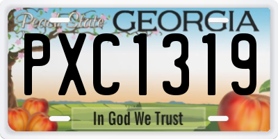 GA license plate PXC1319