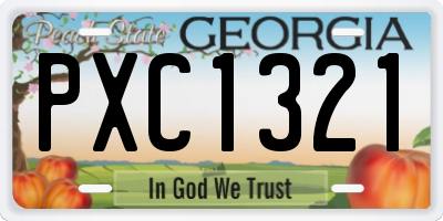 GA license plate PXC1321