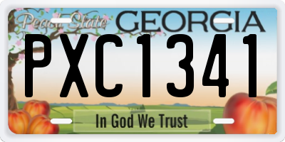 GA license plate PXC1341