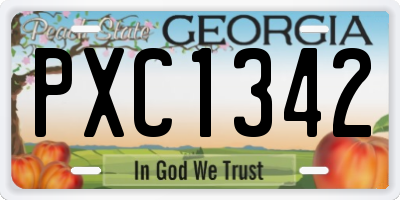 GA license plate PXC1342