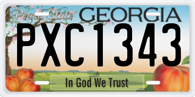 GA license plate PXC1343