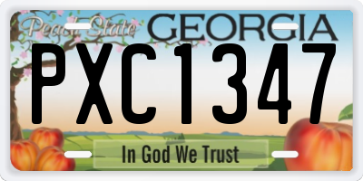 GA license plate PXC1347
