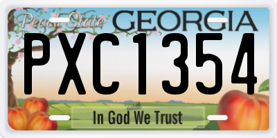 GA license plate PXC1354