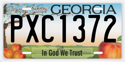GA license plate PXC1372