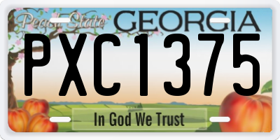 GA license plate PXC1375