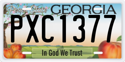 GA license plate PXC1377