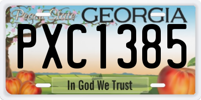 GA license plate PXC1385