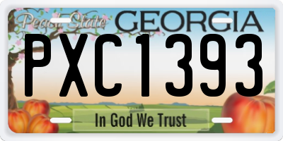 GA license plate PXC1393