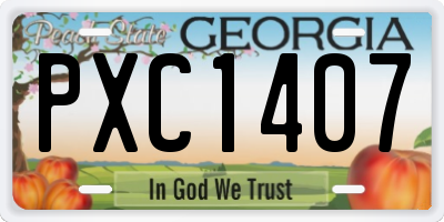 GA license plate PXC1407