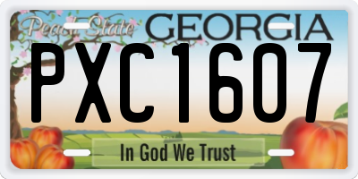 GA license plate PXC1607