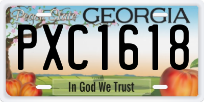 GA license plate PXC1618