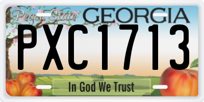 GA license plate PXC1713