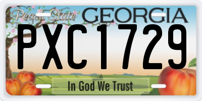 GA license plate PXC1729