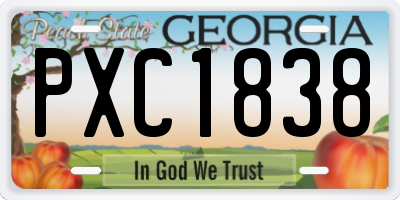 GA license plate PXC1838