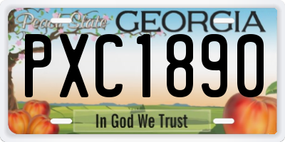 GA license plate PXC1890