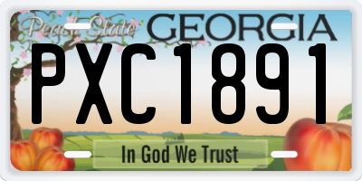 GA license plate PXC1891