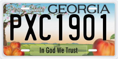 GA license plate PXC1901