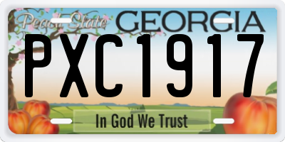 GA license plate PXC1917