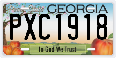GA license plate PXC1918