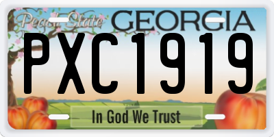 GA license plate PXC1919