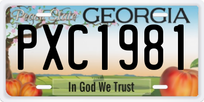GA license plate PXC1981
