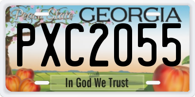GA license plate PXC2055