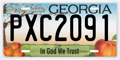 GA license plate PXC2091