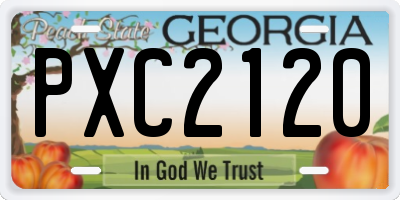 GA license plate PXC2120