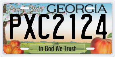 GA license plate PXC2124