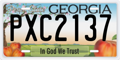 GA license plate PXC2137