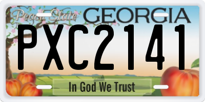 GA license plate PXC2141