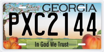 GA license plate PXC2144