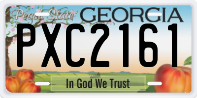 GA license plate PXC2161