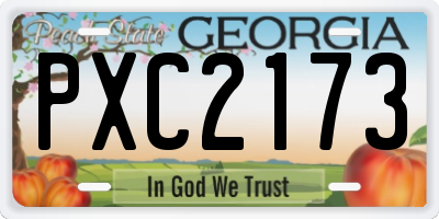 GA license plate PXC2173