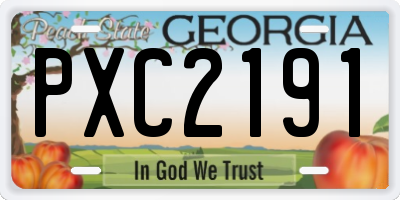 GA license plate PXC2191
