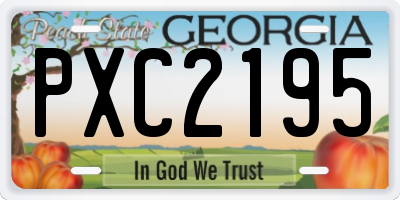 GA license plate PXC2195