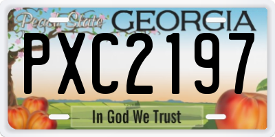 GA license plate PXC2197