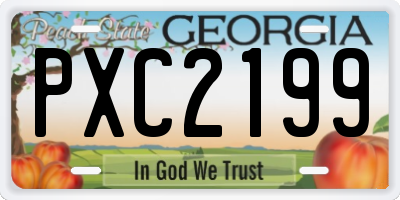 GA license plate PXC2199