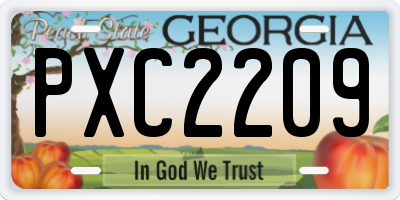GA license plate PXC2209