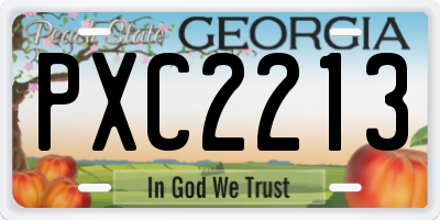 GA license plate PXC2213