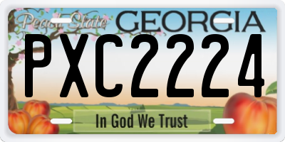 GA license plate PXC2224