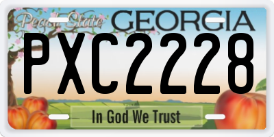 GA license plate PXC2228