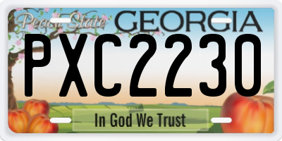 GA license plate PXC2230