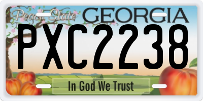 GA license plate PXC2238