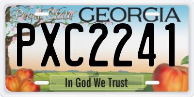 GA license plate PXC2241